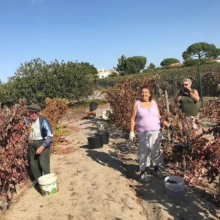 Casa di campagna Amarte